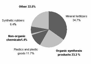 Commodity structure of chemical and petrochemical exports of Russia in 2001
