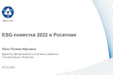 Будущее рынка устойчивого финансирования: сохранить и усилить национальную экспертизу 